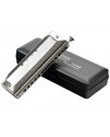SW1248 天鵝牌12孔48音 半音階口琴 Harmonica